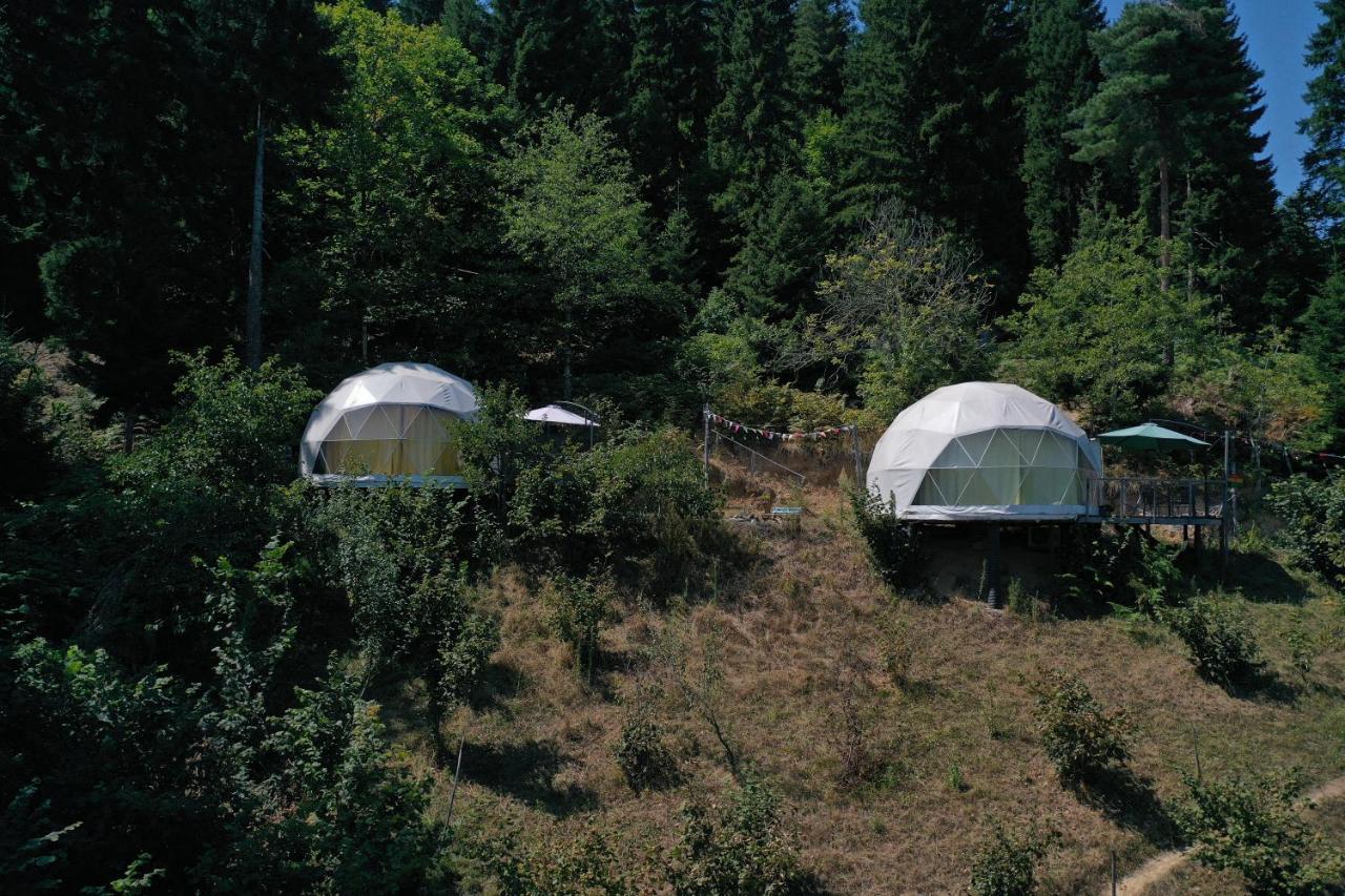 Hotel Ajara Glamping Kokotauri K'eda Esterno foto