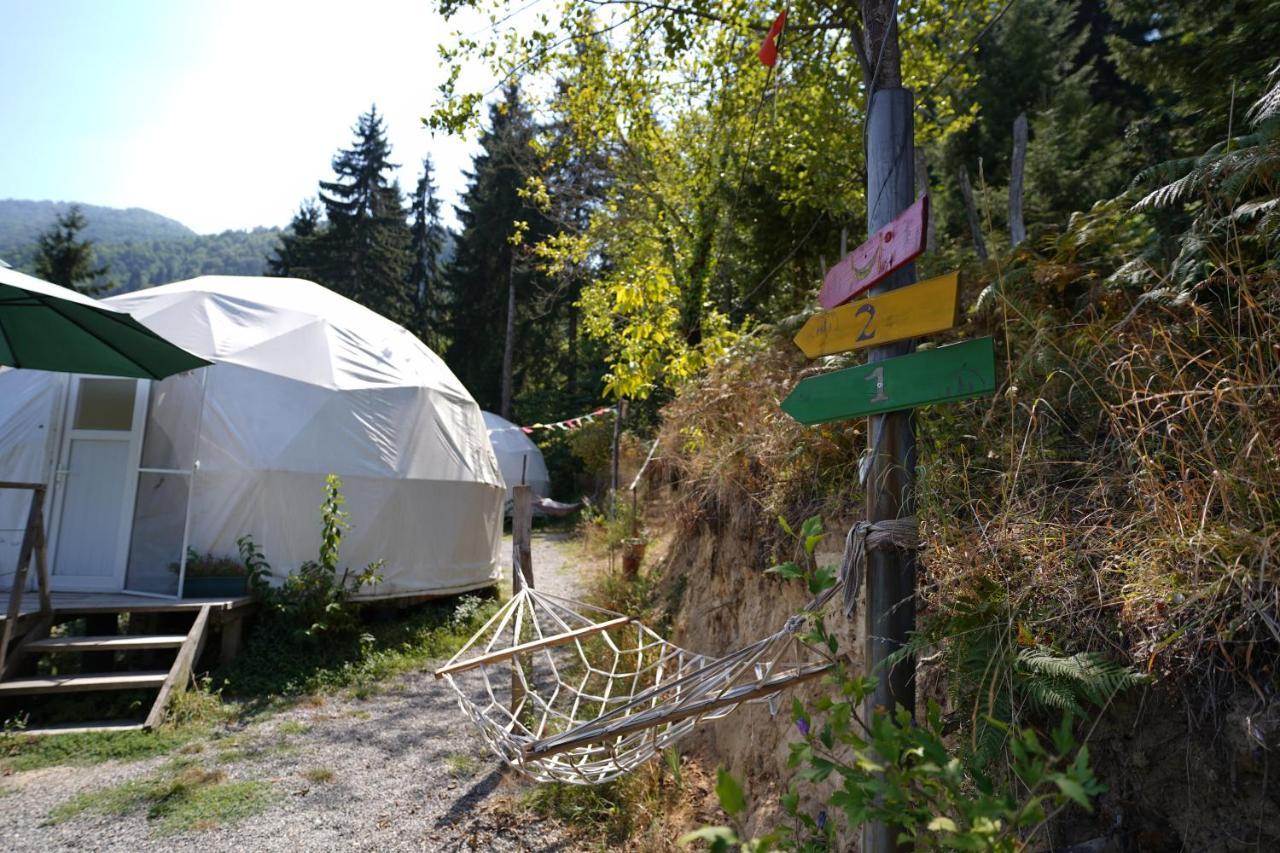 Hotel Ajara Glamping Kokotauri K'eda Esterno foto