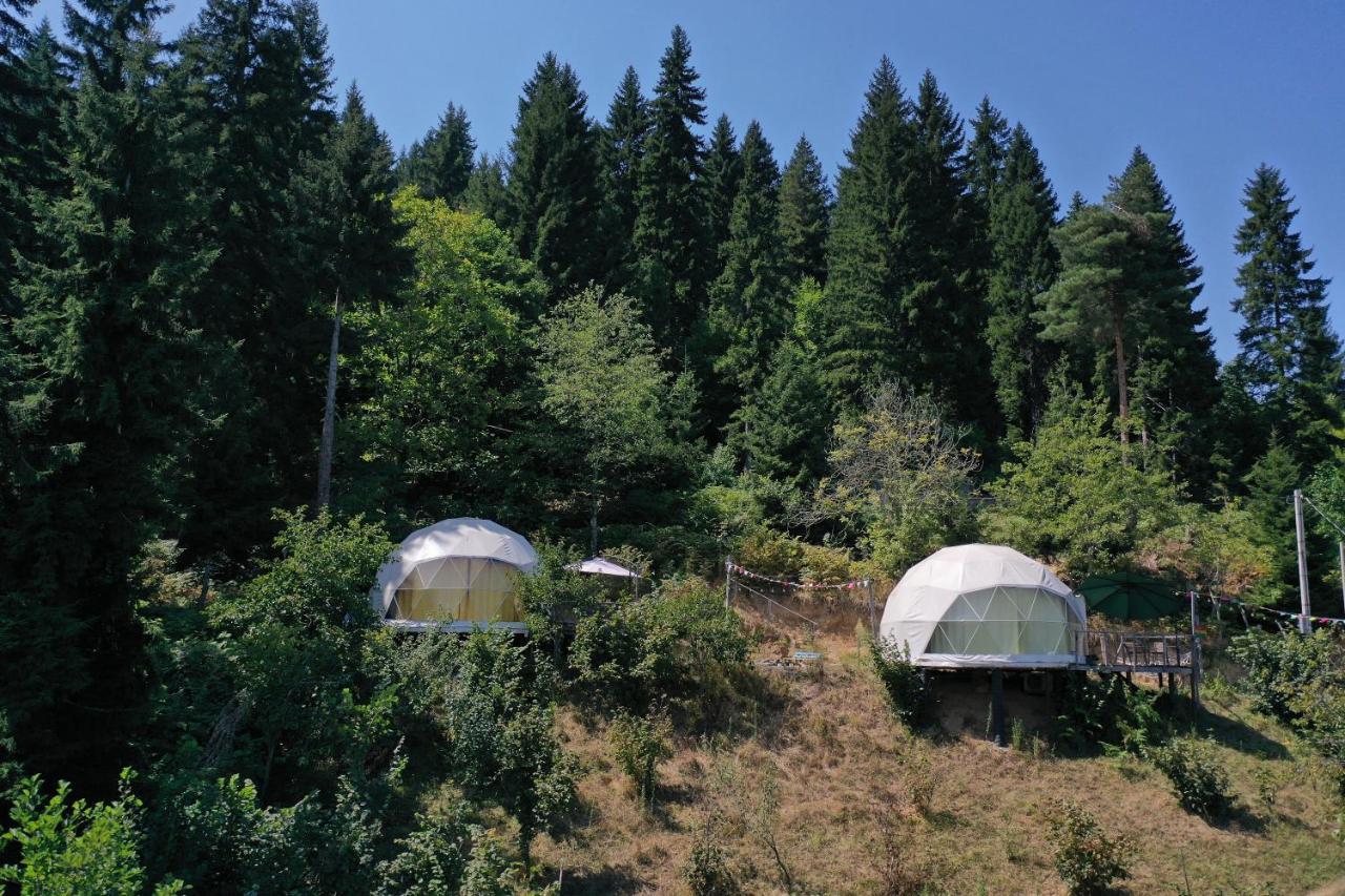 Hotel Ajara Glamping Kokotauri K'eda Esterno foto