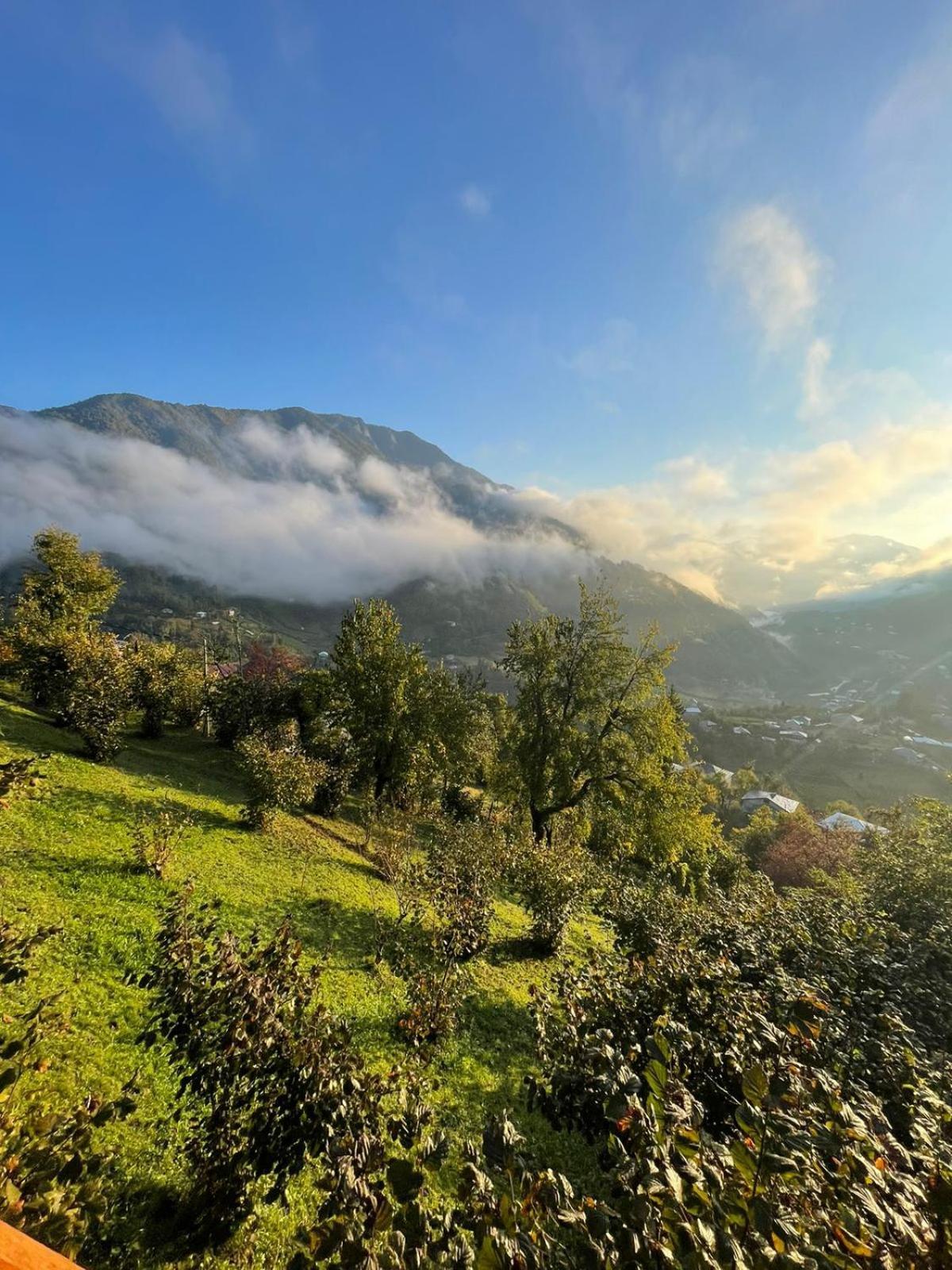 Hotel Ajara Glamping Kokotauri K'eda Esterno foto